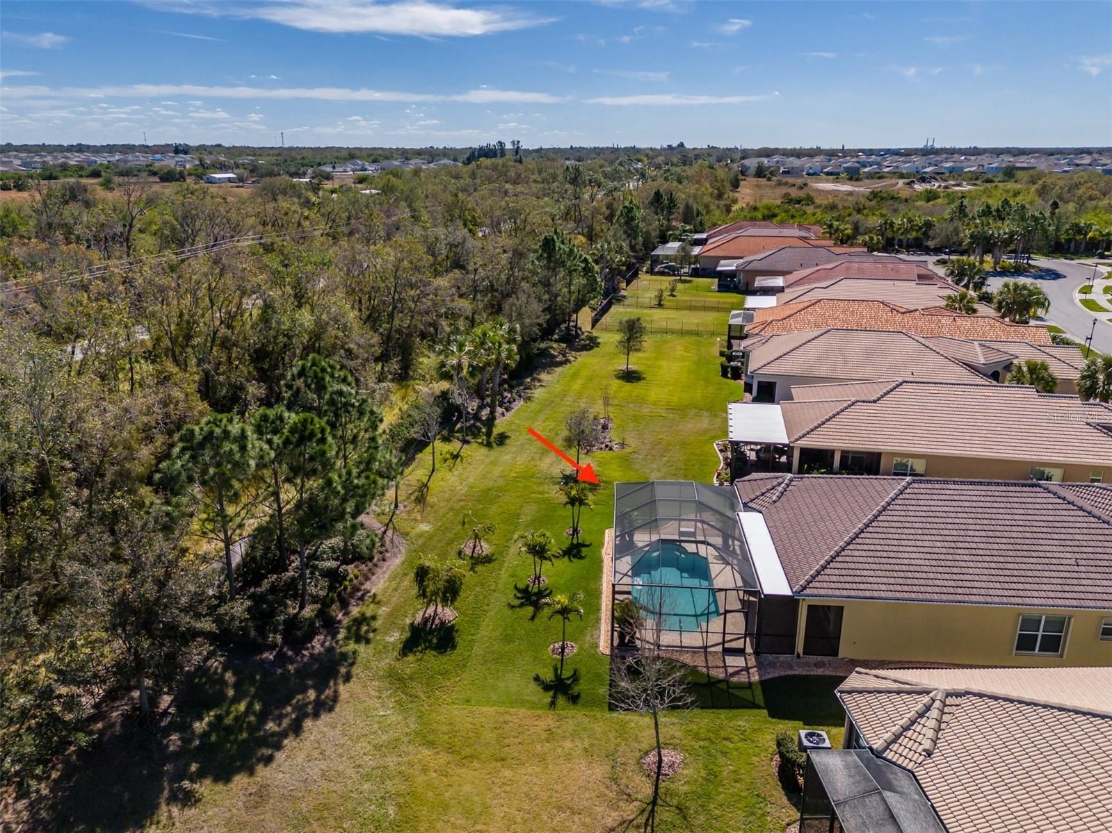 16122 Cedar Key Drive Wimauma FL 33598 TB8488983 image57