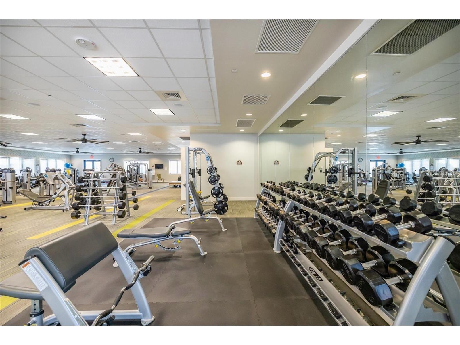 16122 Cedar Key Drive Wimauma FL 33598 TB8488983 image74