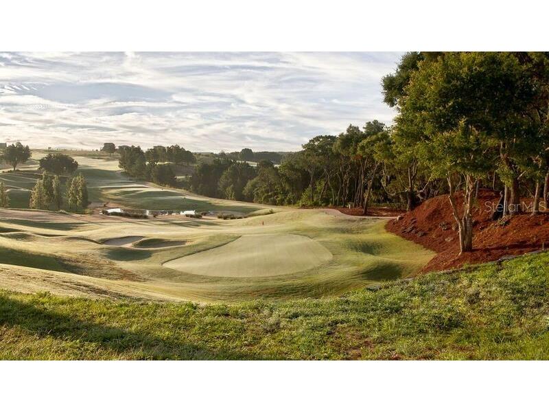 16122 Trivoli Circle Montverde FL 34756 - LAKE SIENA G5105125 image5