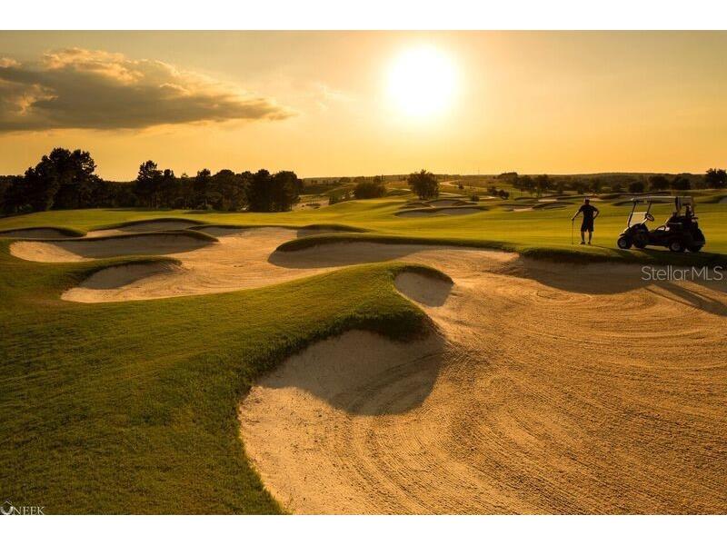 16122 Trivoli Circle Montverde FL 34756 - LAKE SIENA G5105125 image7