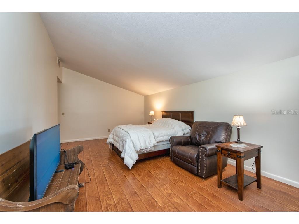 16123 E Lake Burrell Drive Lutz FL 33549 TB8476359 image18