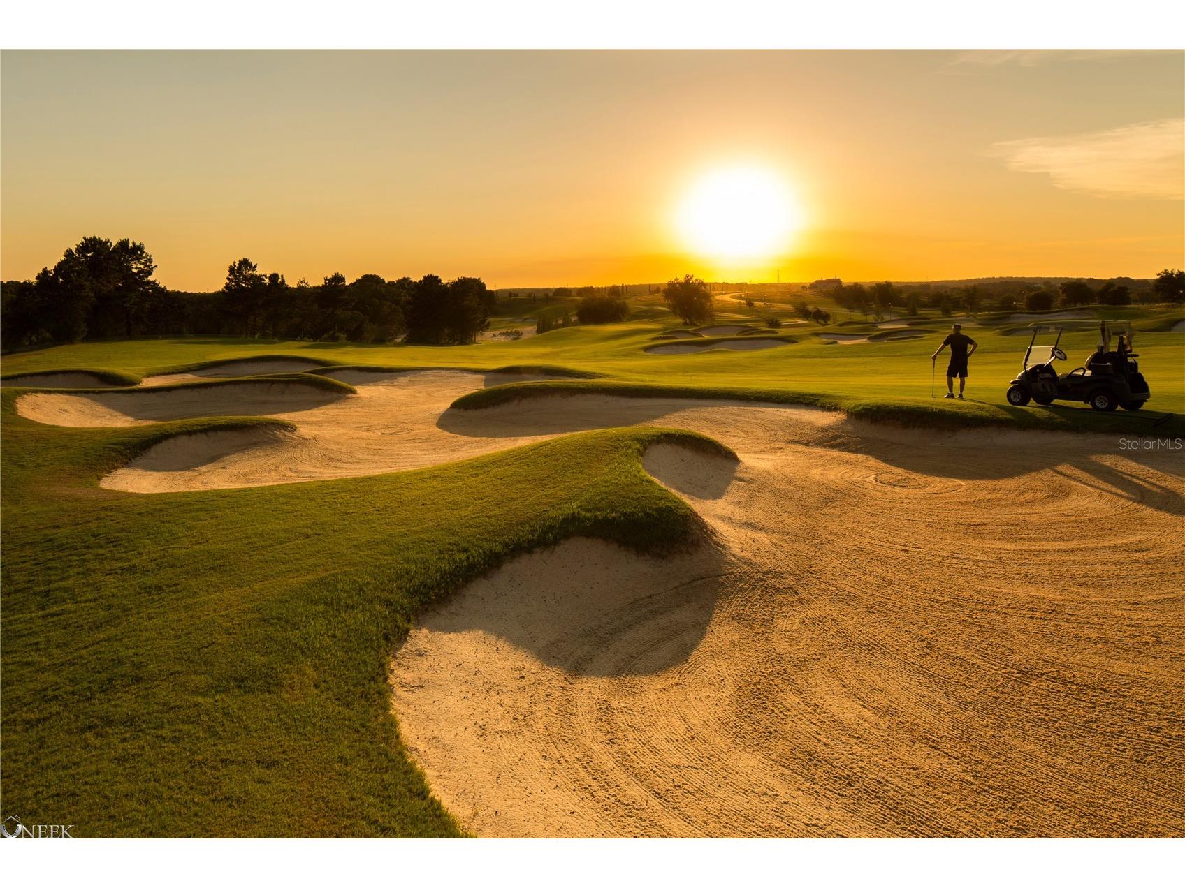 16123 Pendio Drive Montverde FL 34756 - LAKE SIENA G5109088 image11