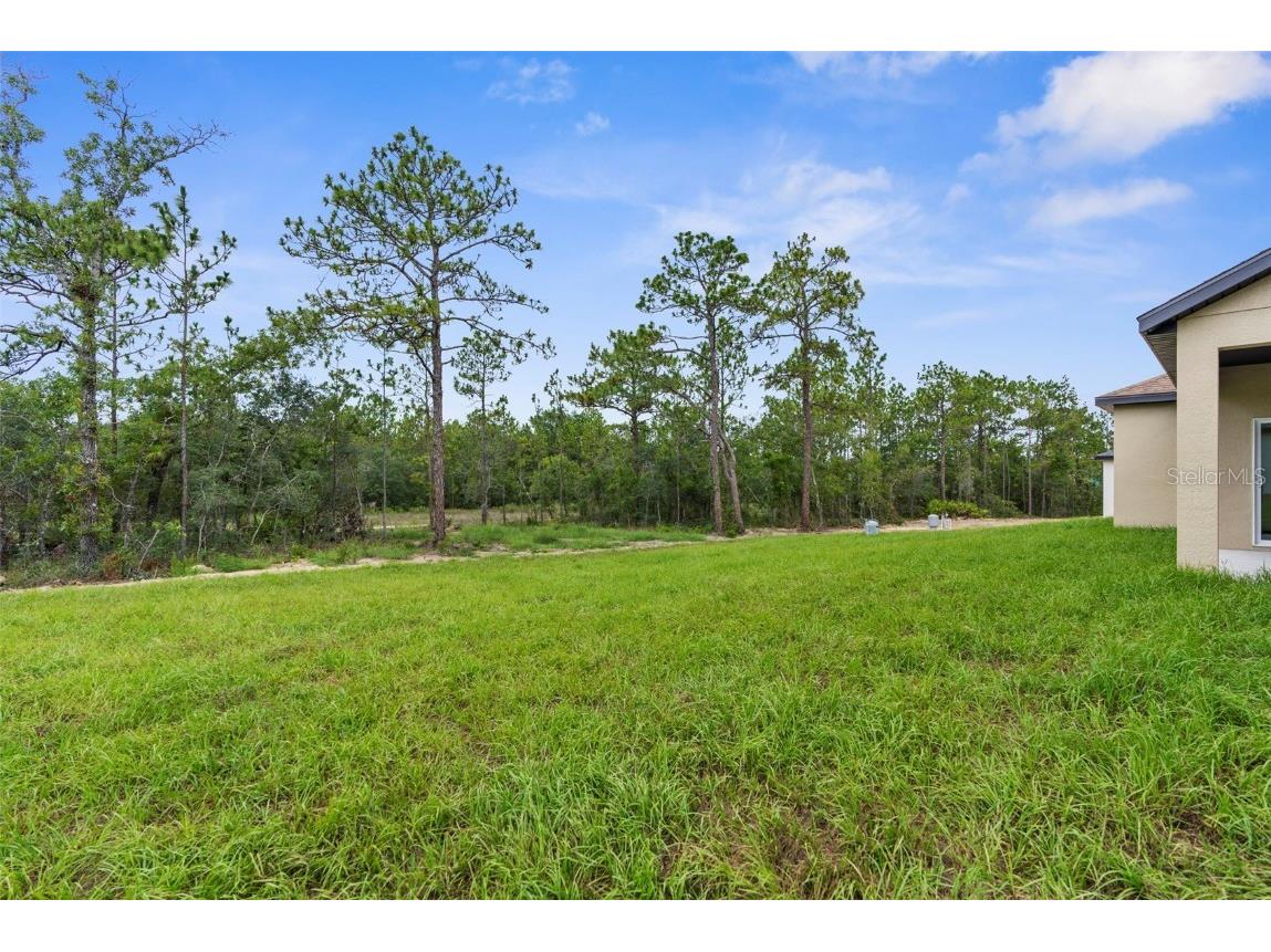 16123 Penn State Road Weeki Wachee FL 34614 W7876210 image36