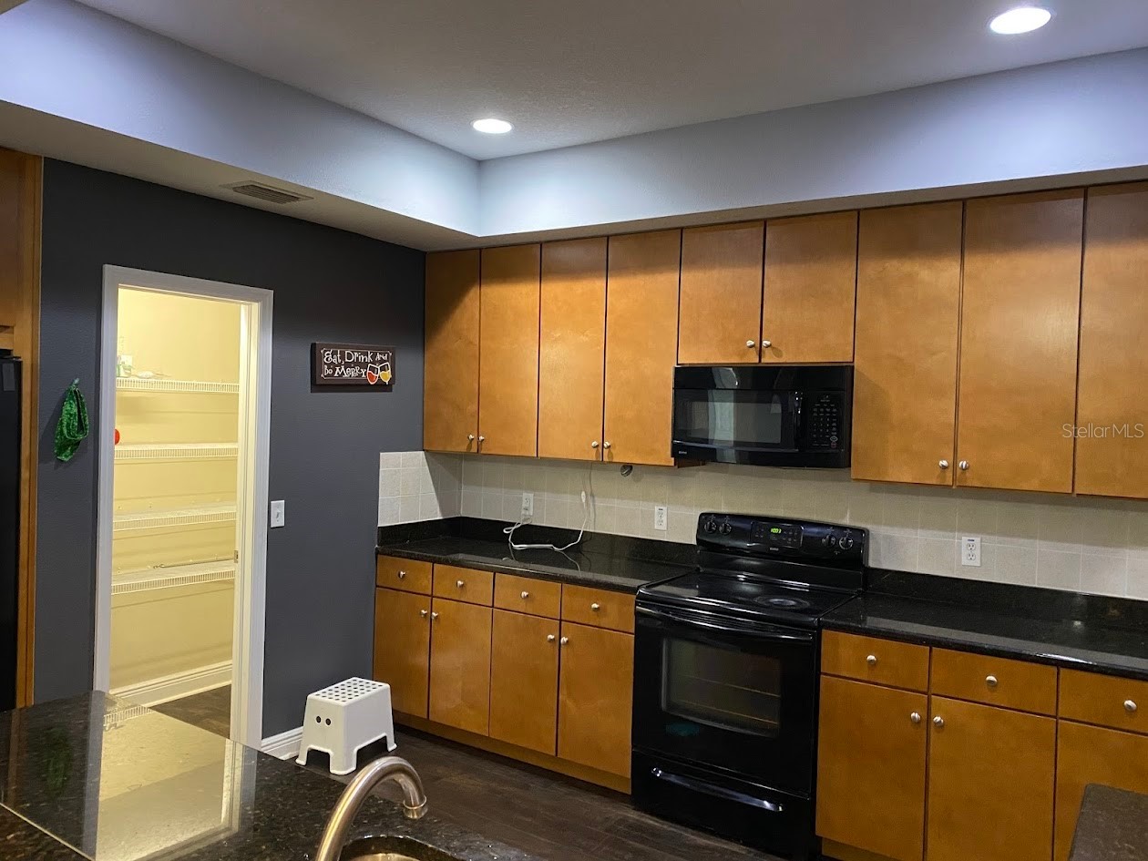 16125 Churchview Drive Lithia FL 33547 TB8515603 image10