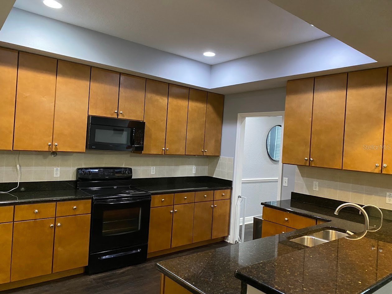 16125 Churchview Drive Lithia FL 33547 TB8515603 image11