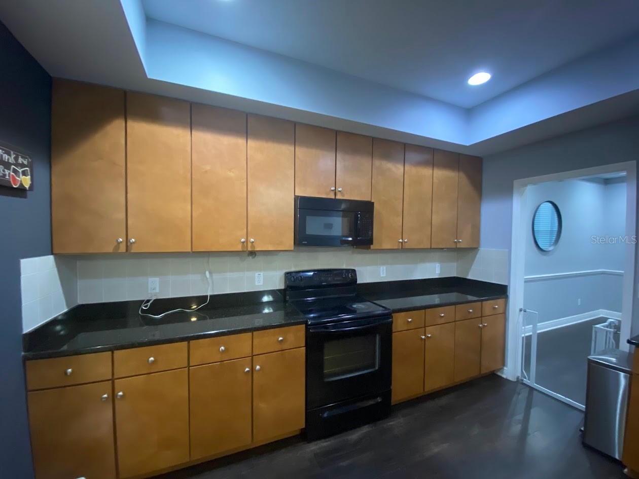 16125 Churchview Drive Lithia FL 33547 TB8515603 image13