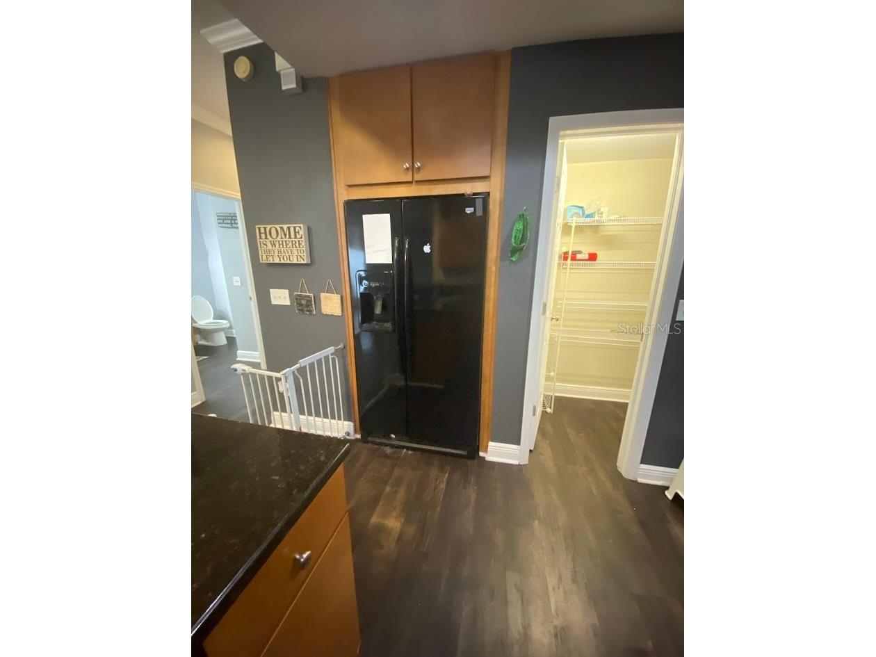 16125 Churchview Drive Lithia FL 33547 TB8515603 image14