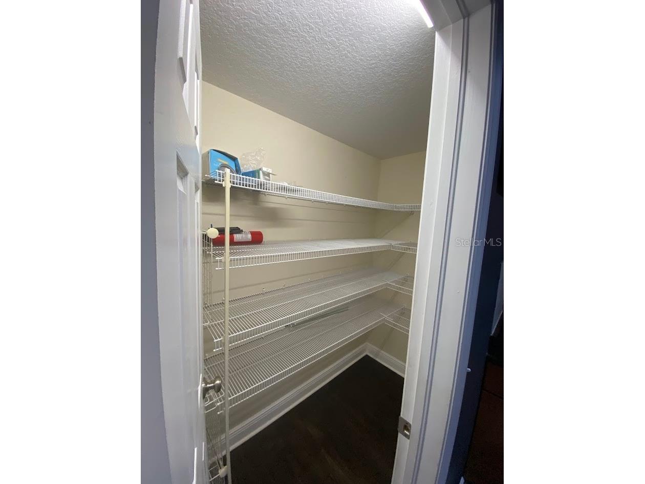 16125 Churchview Drive Lithia FL 33547 TB8515603 image15