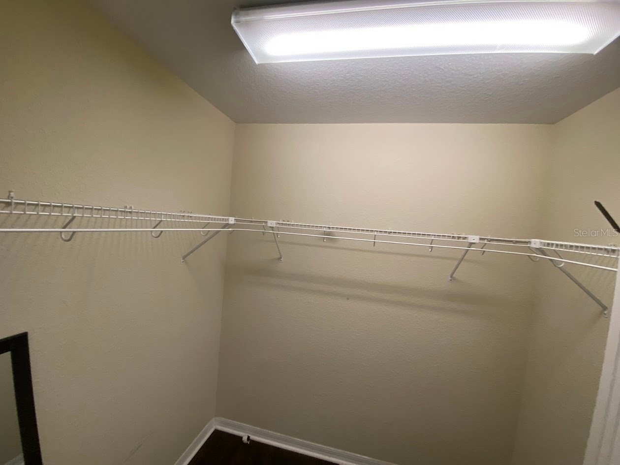 16125 Churchview Drive Lithia FL 33547 TB8515603 image23