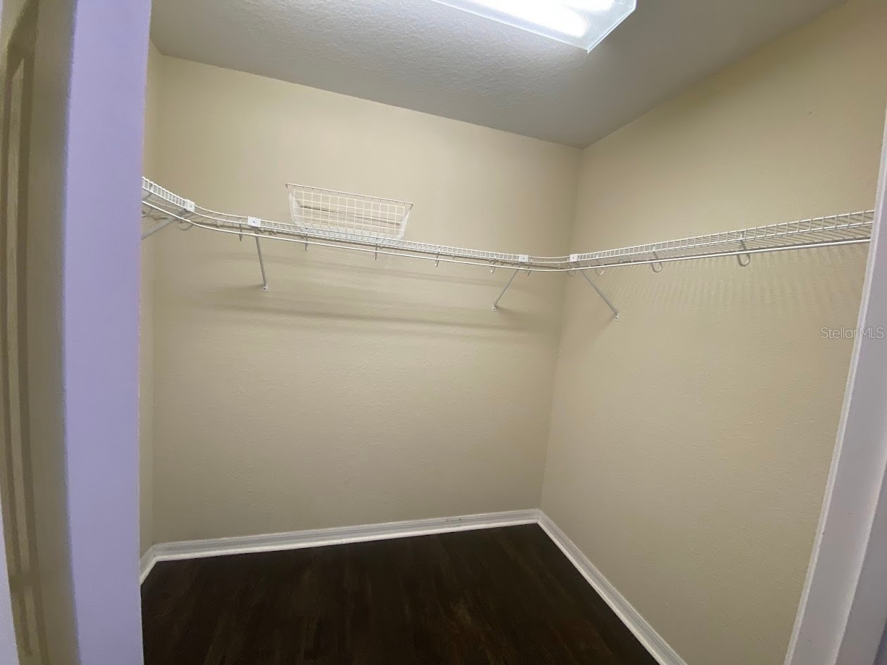 16125 Churchview Drive Lithia FL 33547 TB8515603 image28