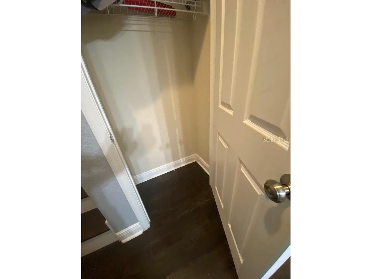 16125 Churchview Drive Lithia FL 33547 TB8515603 image32