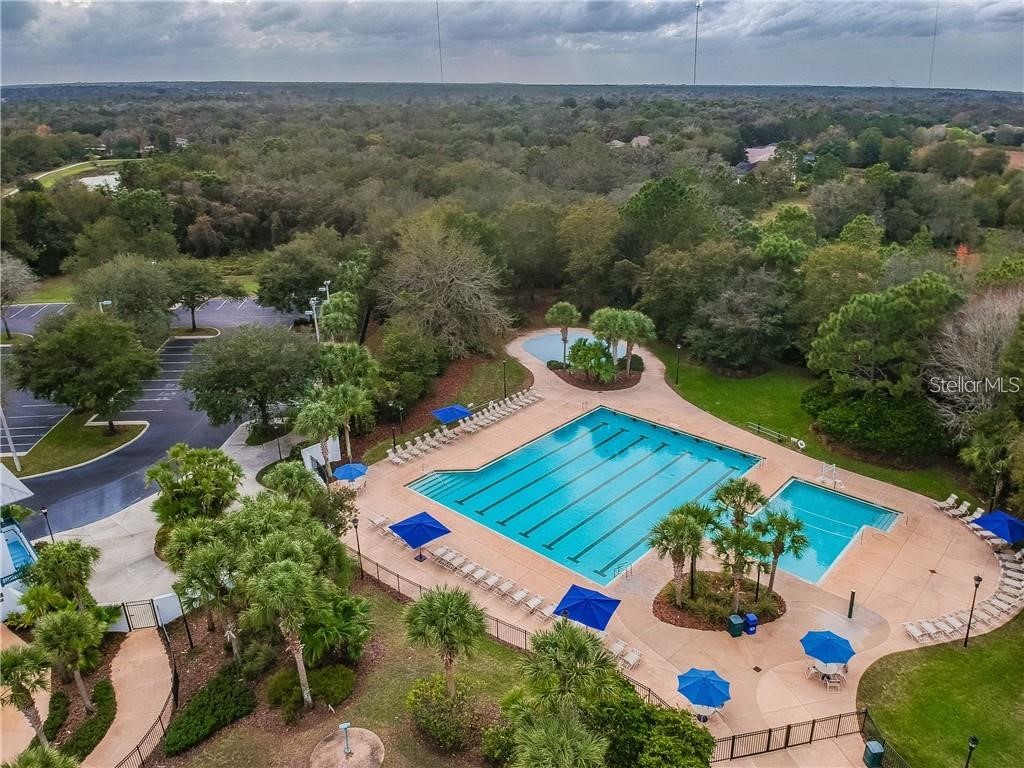 16125 Churchview Drive Lithia FL 33547 TB8515603 image38