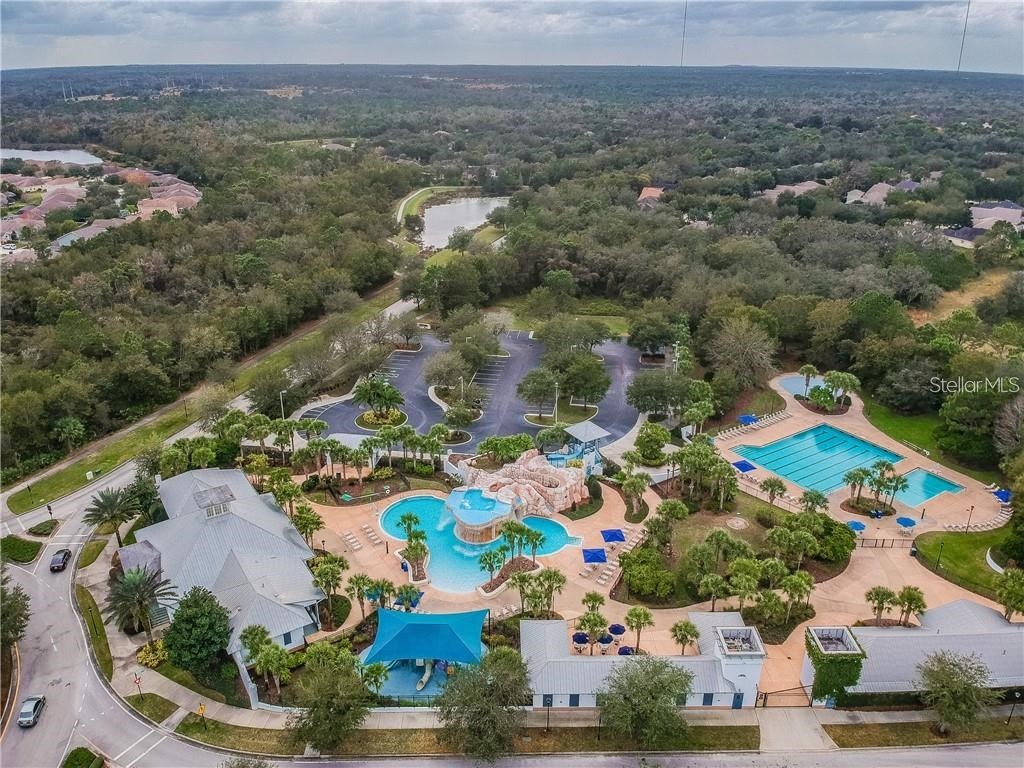 16125 Churchview Drive Lithia FL 33547 TB8515603 image39
