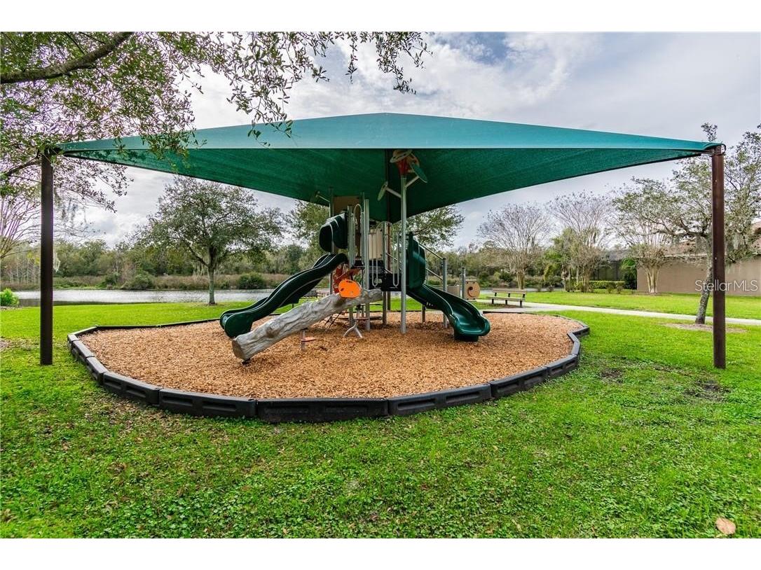 16125 Churchview Drive Lithia FL 33547 TB8515603 image40
