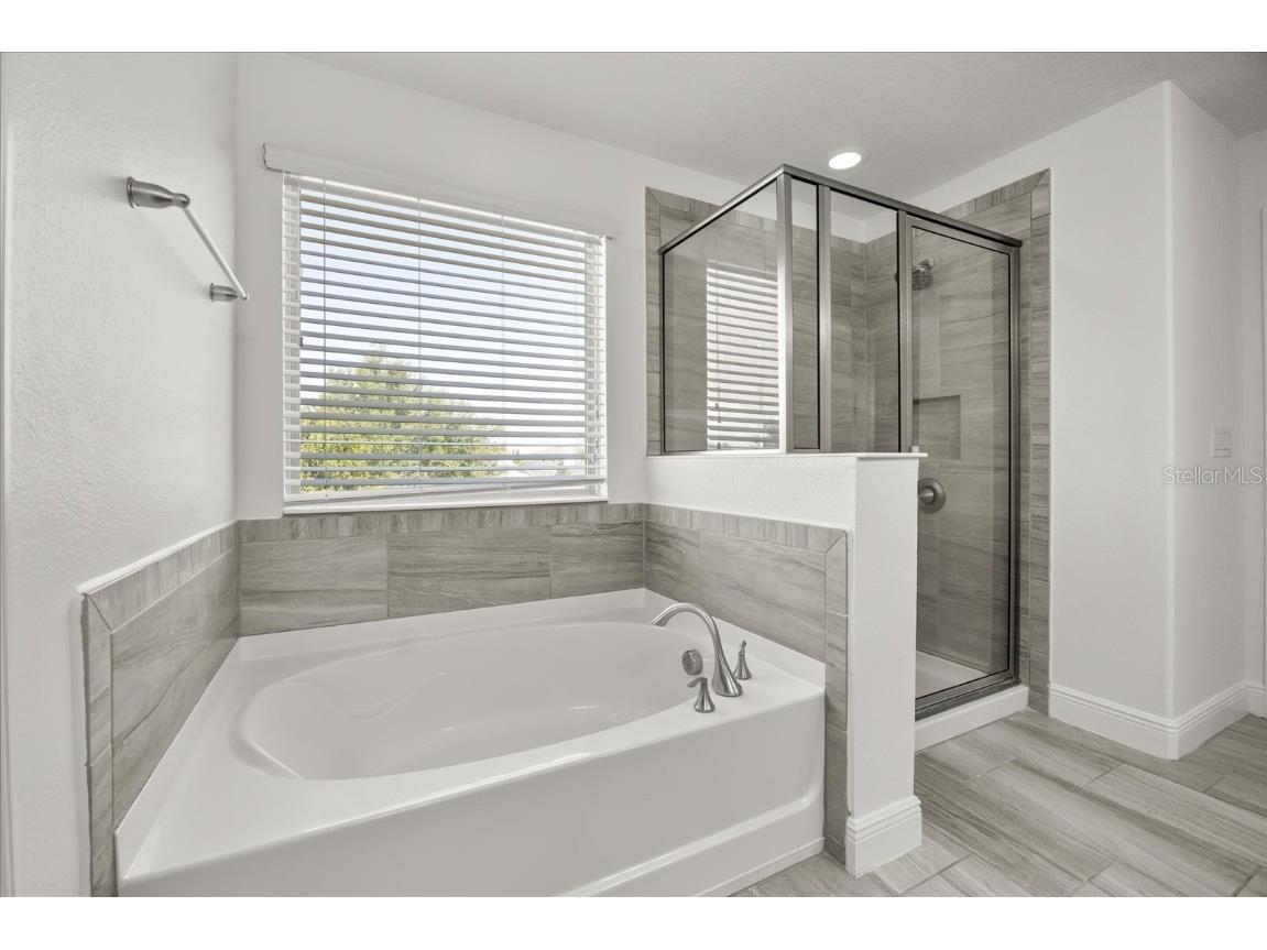 16125 Hampton Crossing Drive Winter Garden FL 34787 O6329851 image17