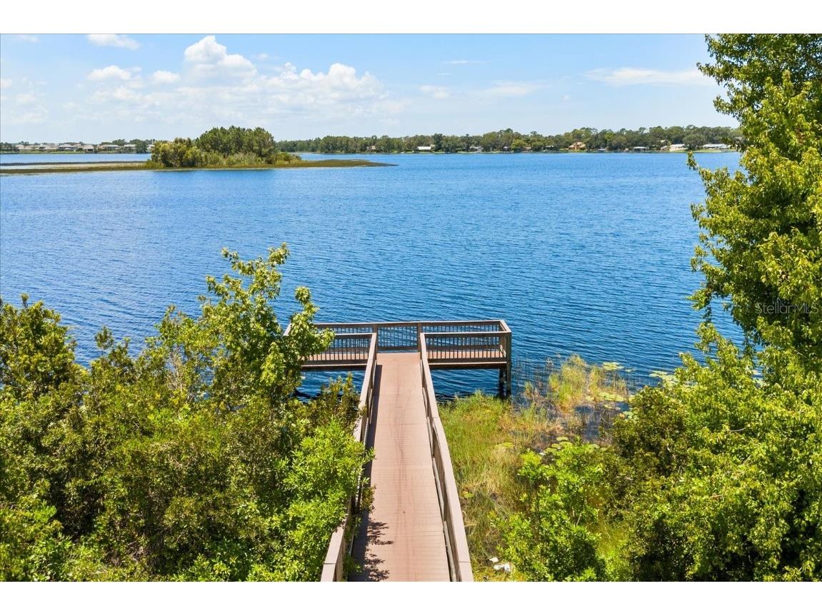 16125 Hampton Crossing Drive Winter Garden FL 34787 O6329851 image52