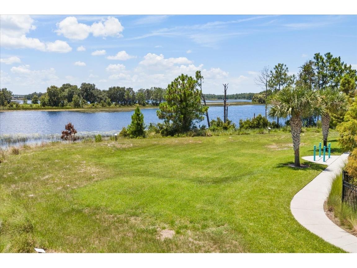 16125 Hampton Crossing Drive Winter Garden FL 34787 O6329851 image57