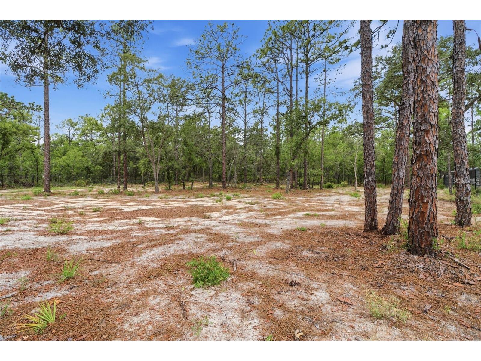 16125 Magpie Road Weeki Wachee FL 34614 OM726016 image40