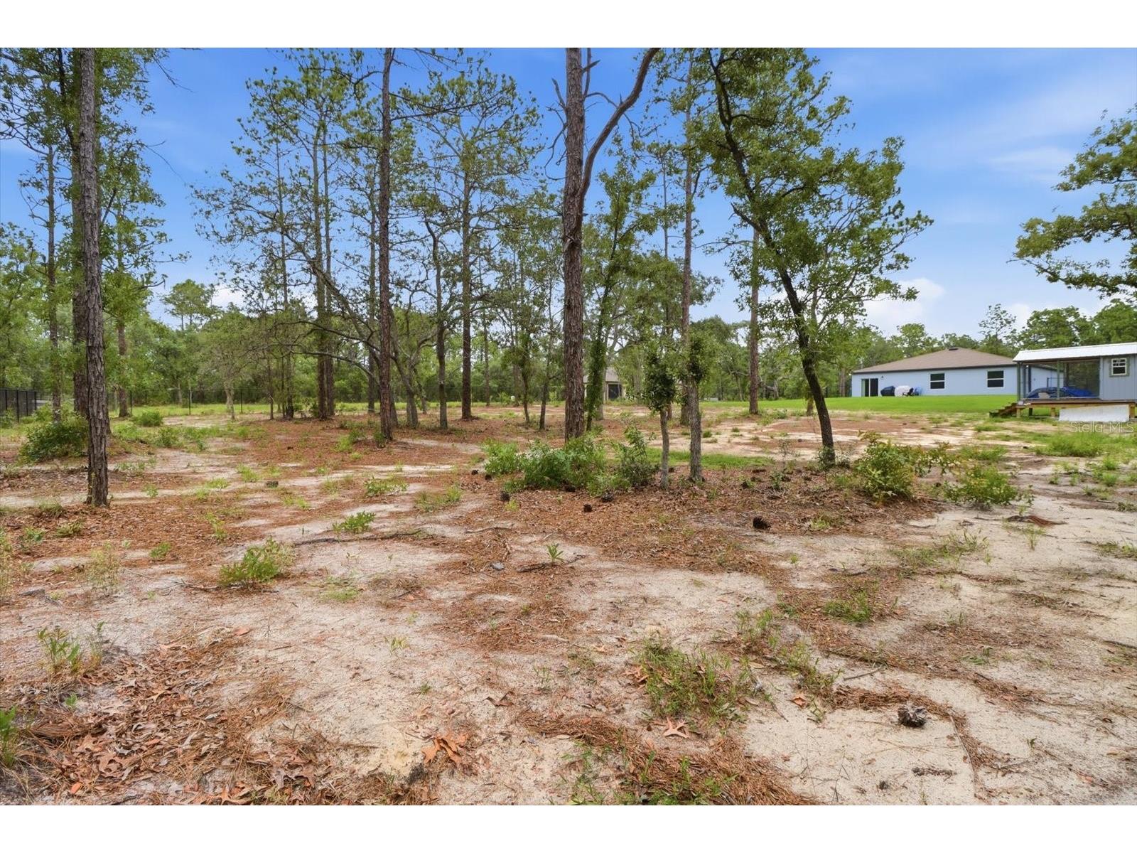 16125 Magpie Road Weeki Wachee FL 34614 OM726016 image41