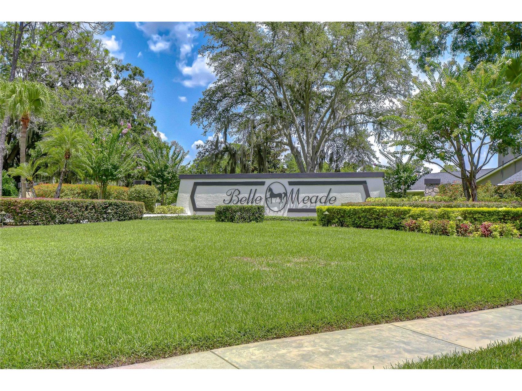 16126 Belle Meade Boulevard Odessa FL 33556 TB8528030 image43