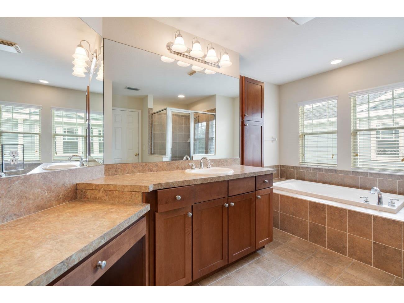 16126 Bridgecrossing Drive Lithia FL 33547 TB8514720 image19