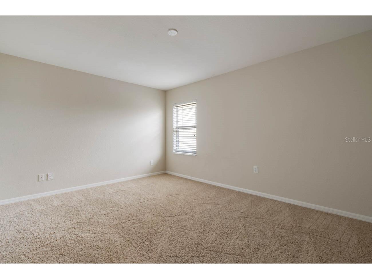 16126 Bridgecrossing Drive Lithia FL 33547 TB8514720 image24