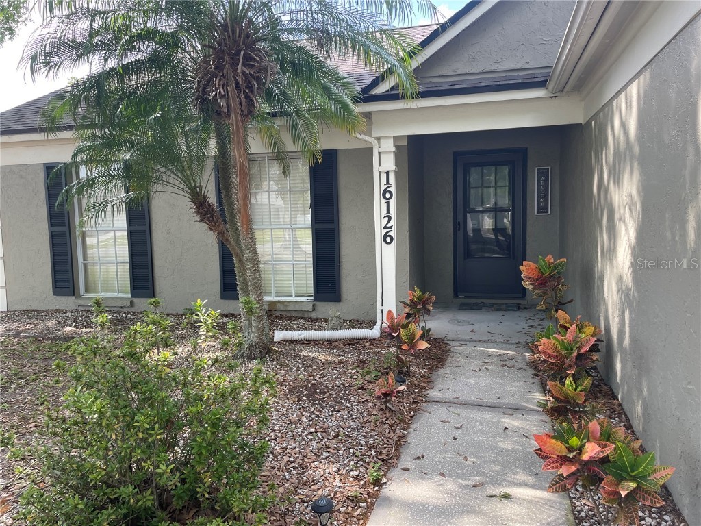16126 Pebblebrook Drive Tampa FL 33624 T3514111 image1