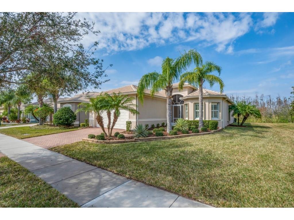 16127 Cape Coral Drive Wimauma FL 33598 TB8341193 image1
