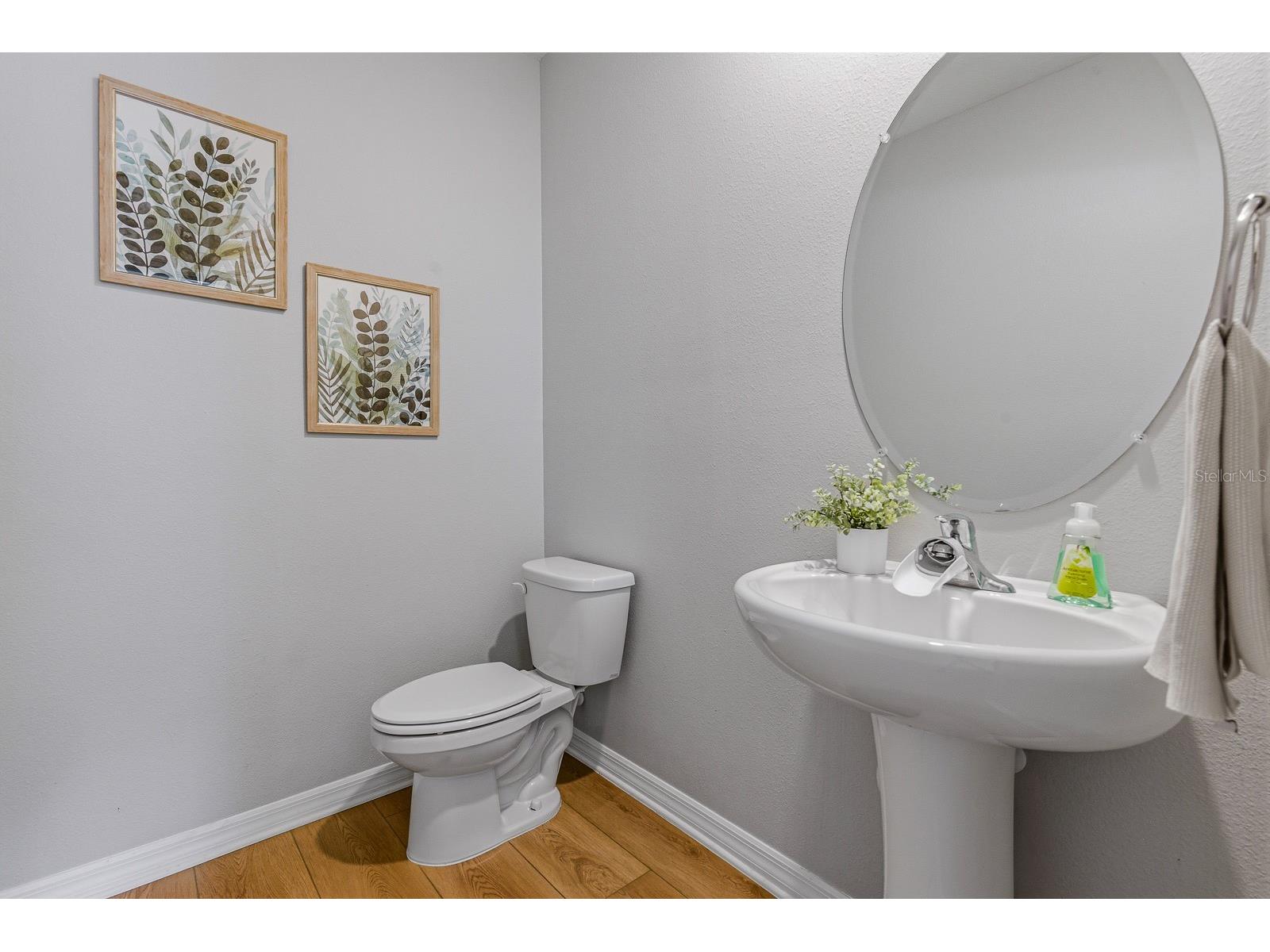 16129 Soft Fern Trace Odessa FL 33556 TB8493265 image16