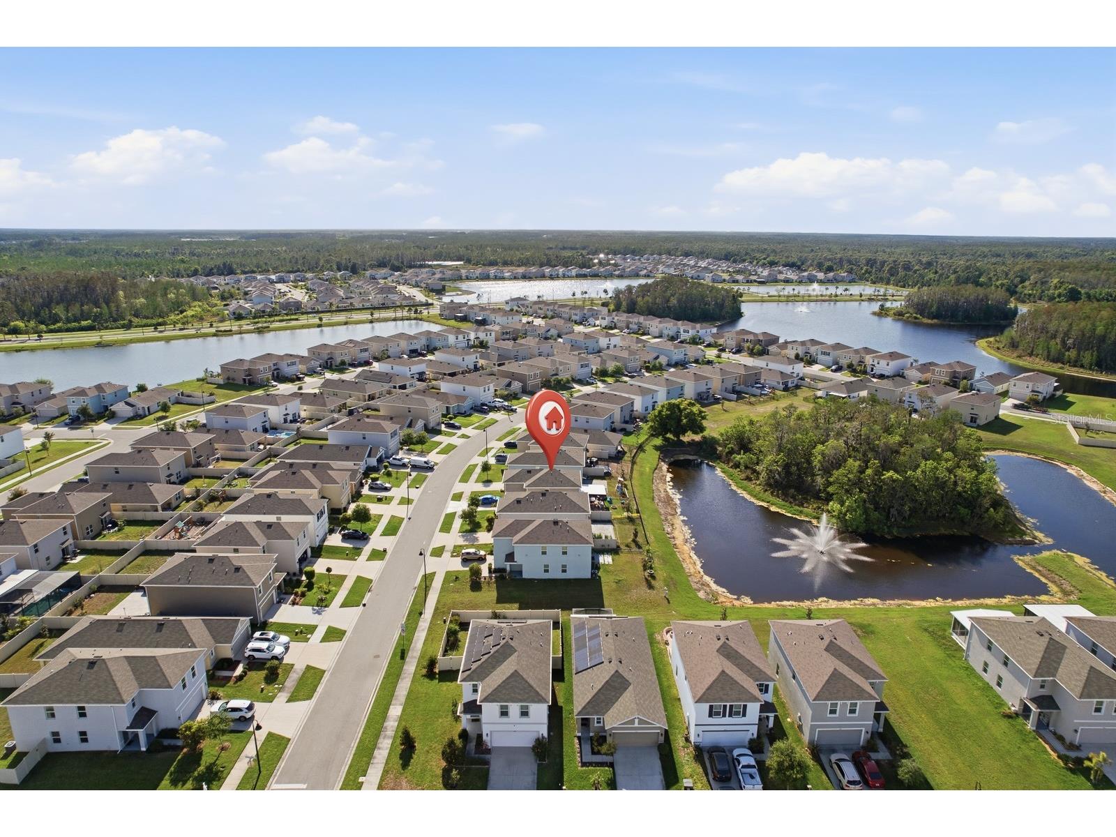 16129 Soft Fern Trace Odessa FL 33556 TB8493265 image41