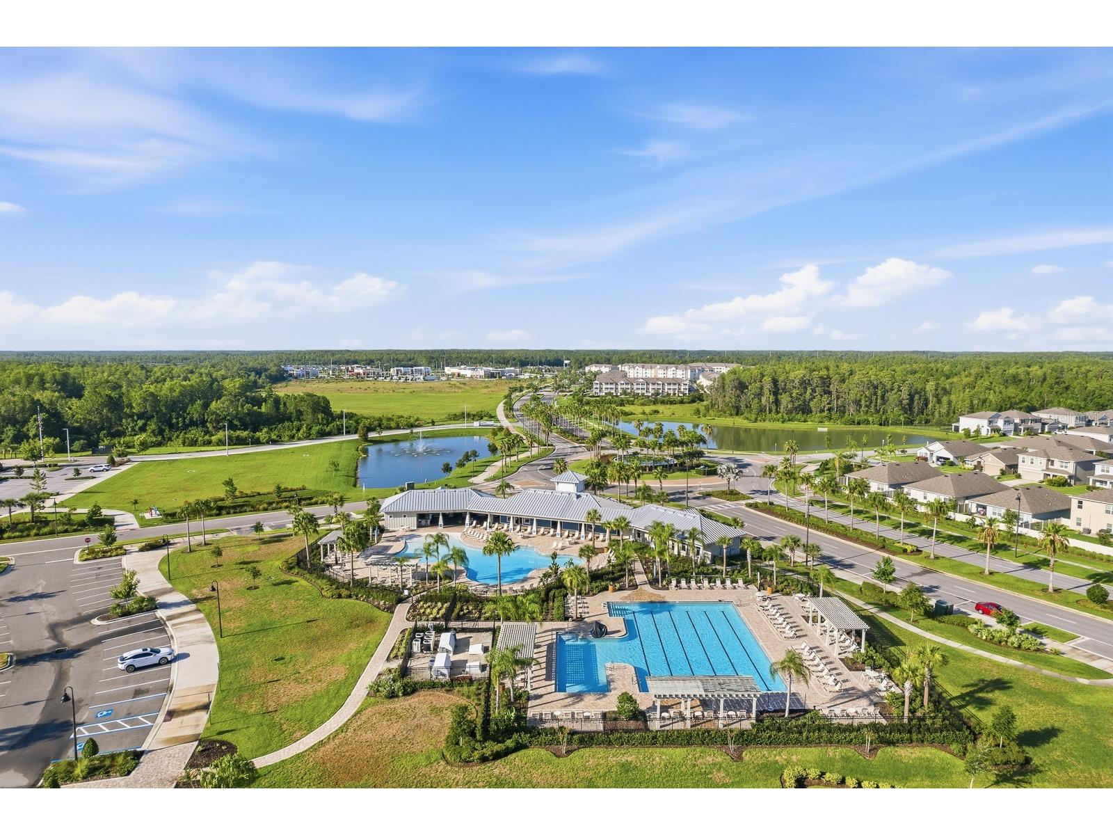 16129 Soft Fern Trace Odessa FL 33556 TB8493265 image45