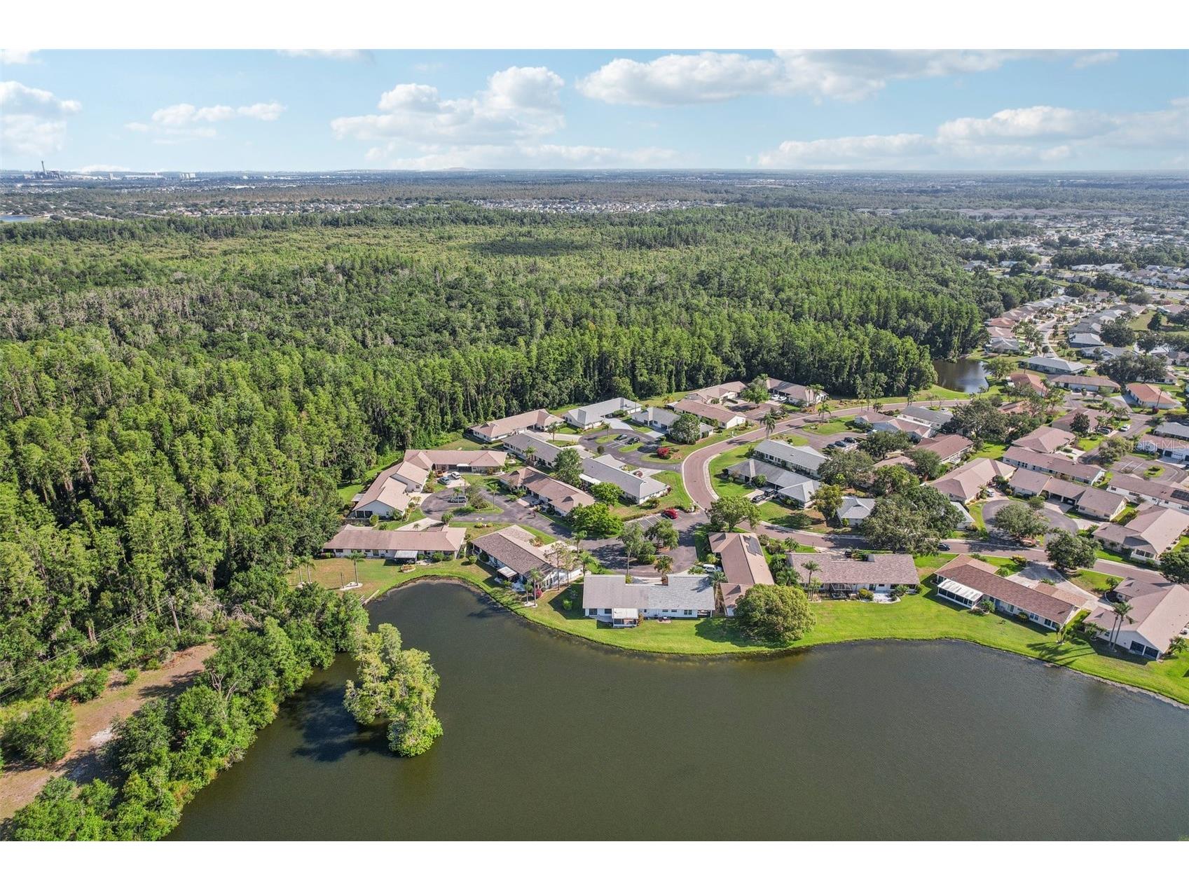 1613 Comfy Court Sun City Center FL 33573 TB8518779 image35