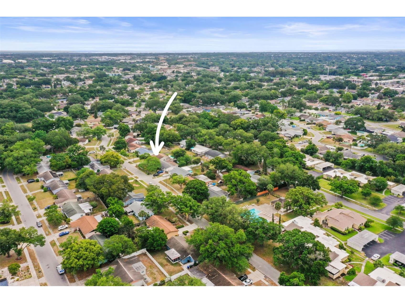 1613 Greenwood Drive Dunedin FL 34698 TB8508395 image12