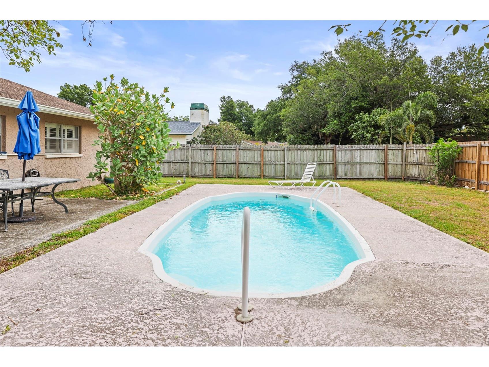 1613 Greenwood Drive Dunedin FL 34698 TB8508395 image25
