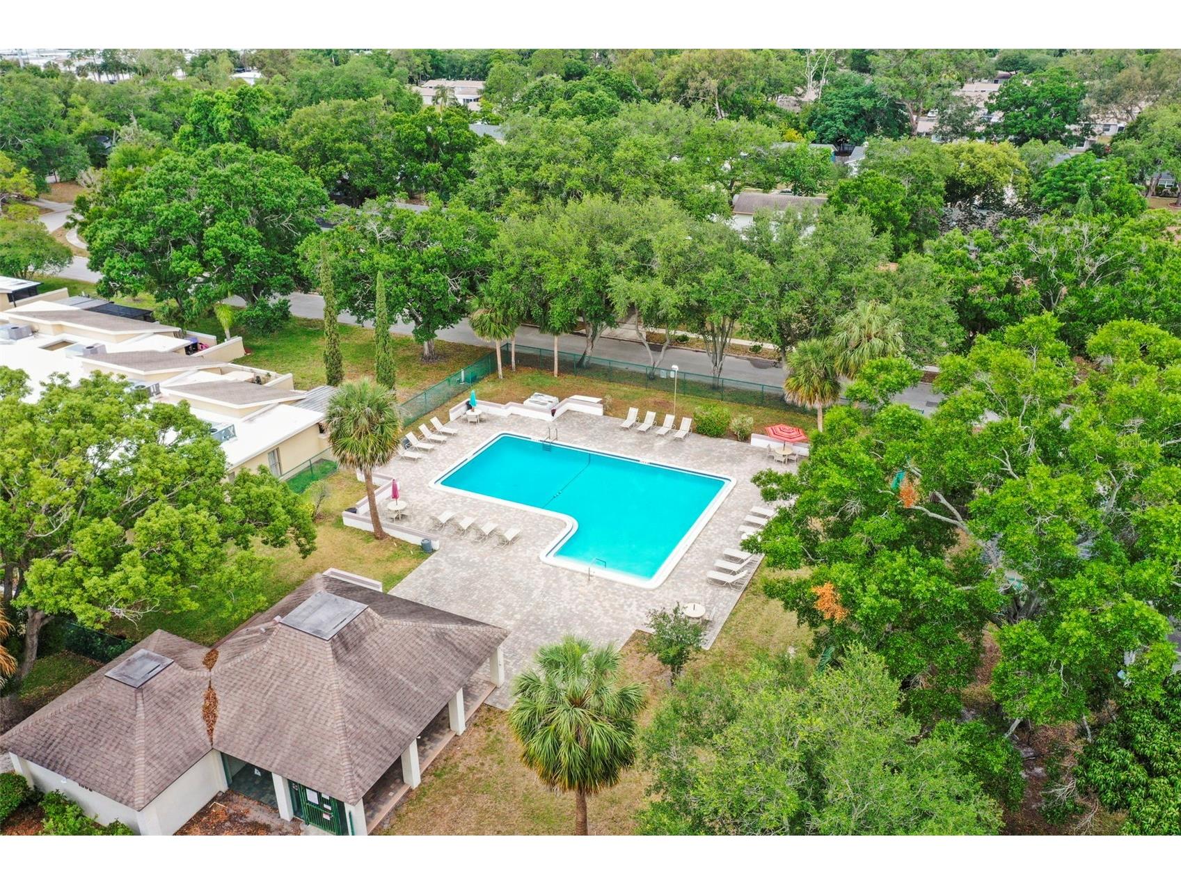 1613 Greenwood Drive Dunedin FL 34698 TB8508395 image27