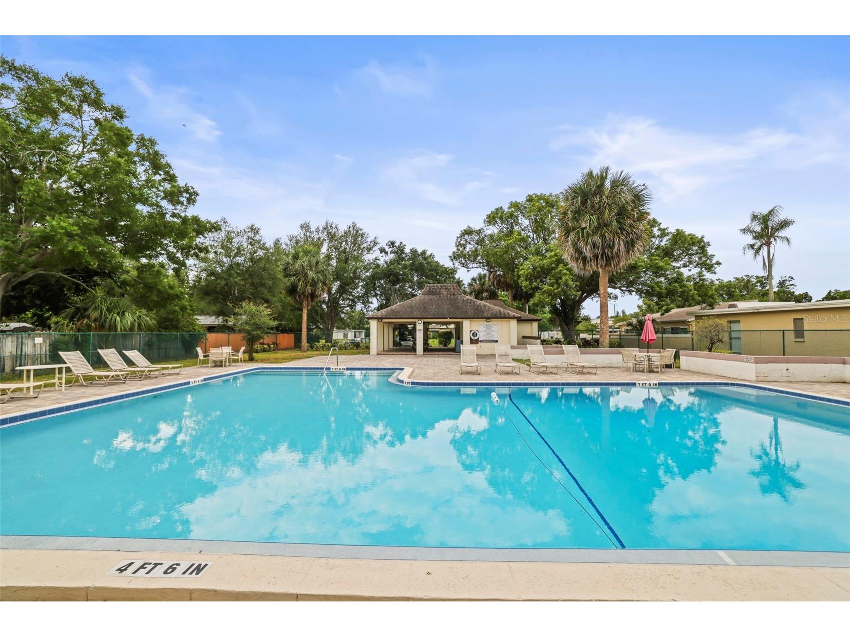 1613 Greenwood Drive Dunedin FL 34698 TB8508395 image30