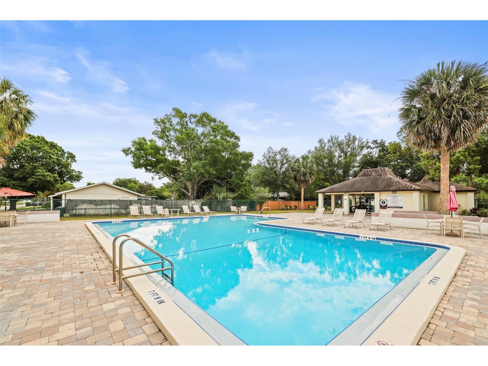 1613 Greenwood Drive Dunedin FL 34698 TB8508395 image31