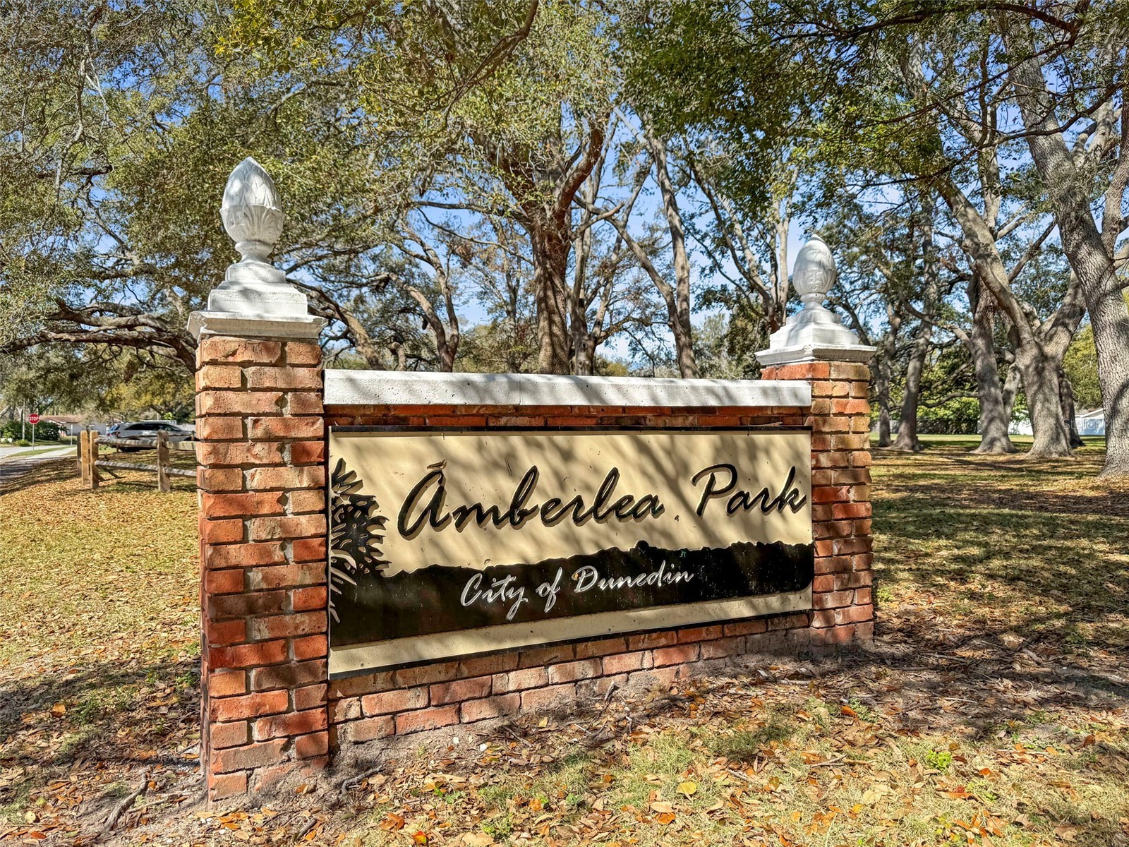 1613 Greenwood Drive Dunedin FL 34698 TB8508395 image33