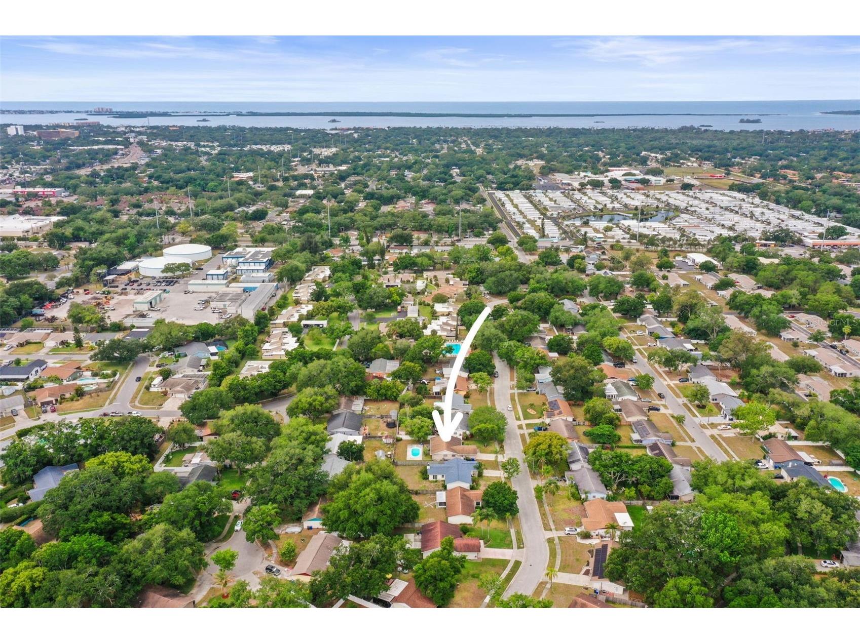 1613 Greenwood Drive Dunedin FL 34698 TB8508395 image41