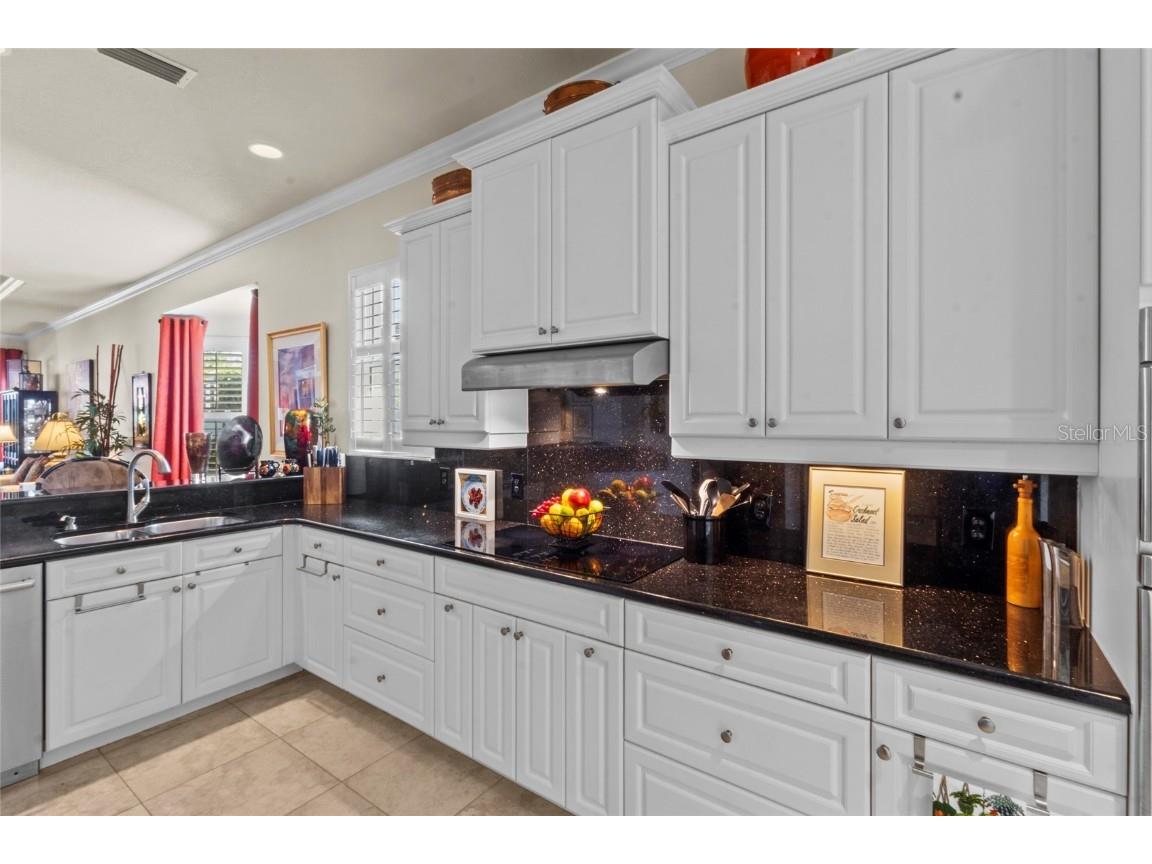 1613 Lancashire Drive Venice FL 34293 N6141799 image5