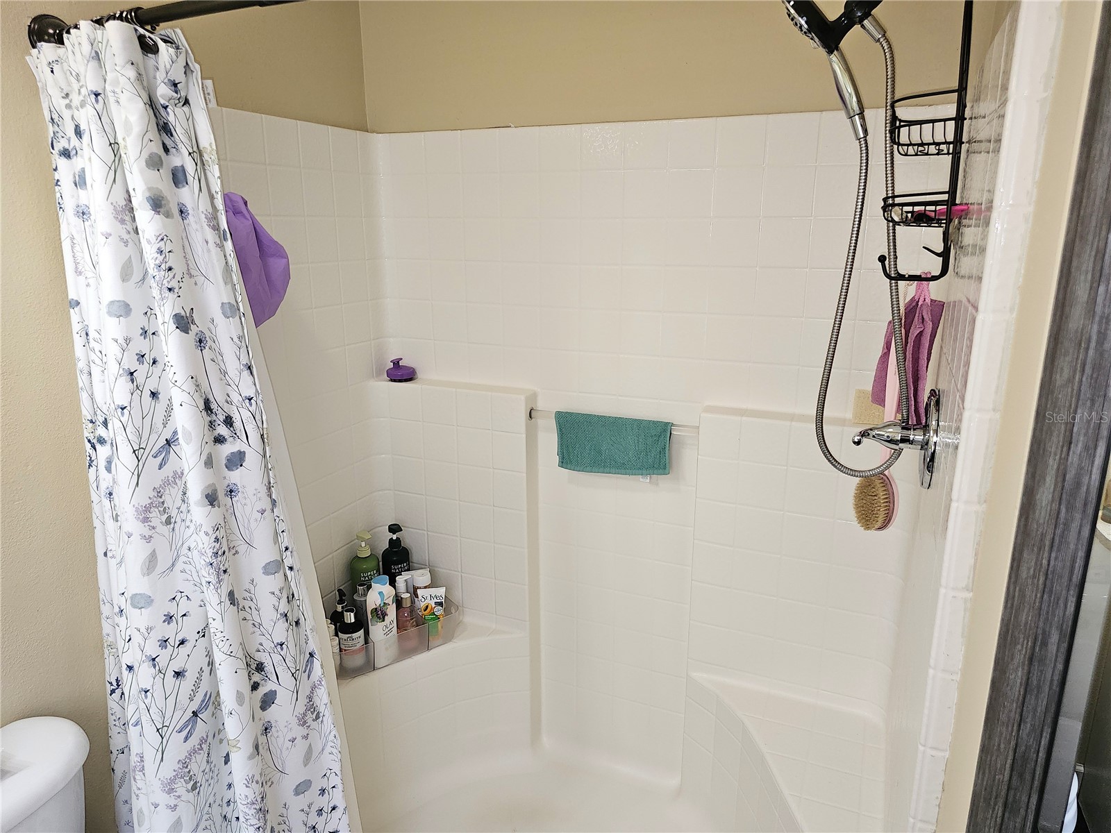 1613 Mosaic Forest Drive Seffner FL 33584 TB8500600 image19
