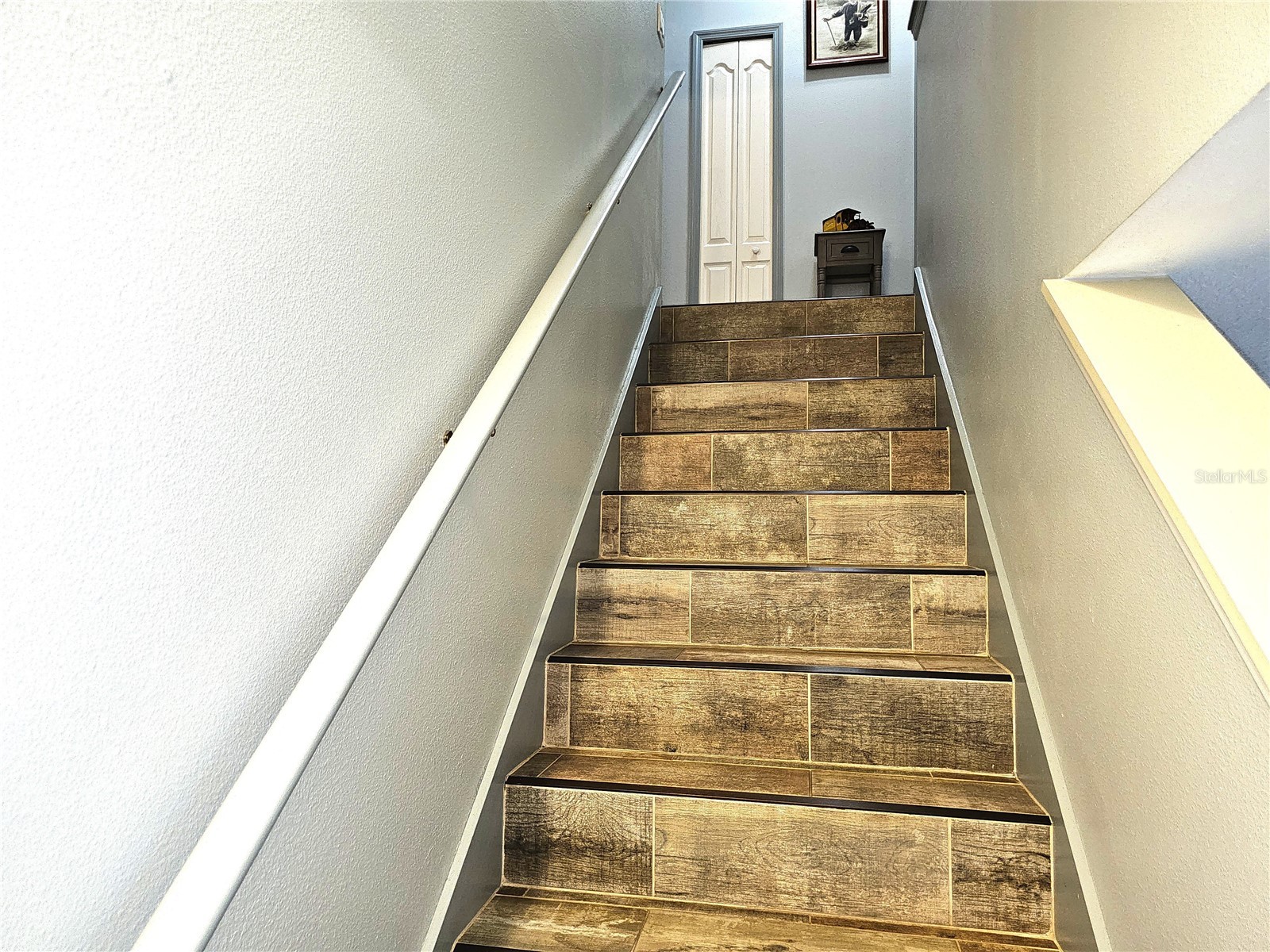 1613 Mosaic Forest Drive Seffner FL 33584 TB8500600 image21
