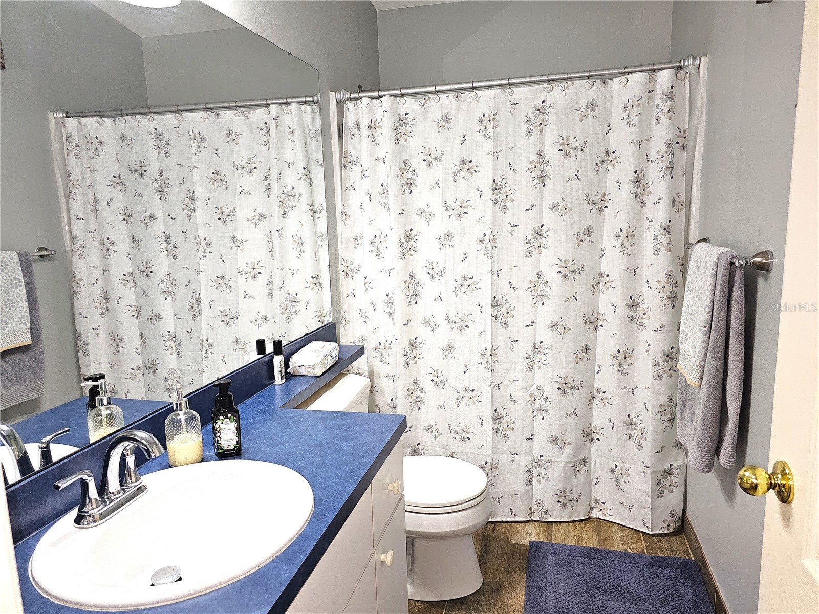 1613 Mosaic Forest Drive Seffner FL 33584 TB8500600 image30