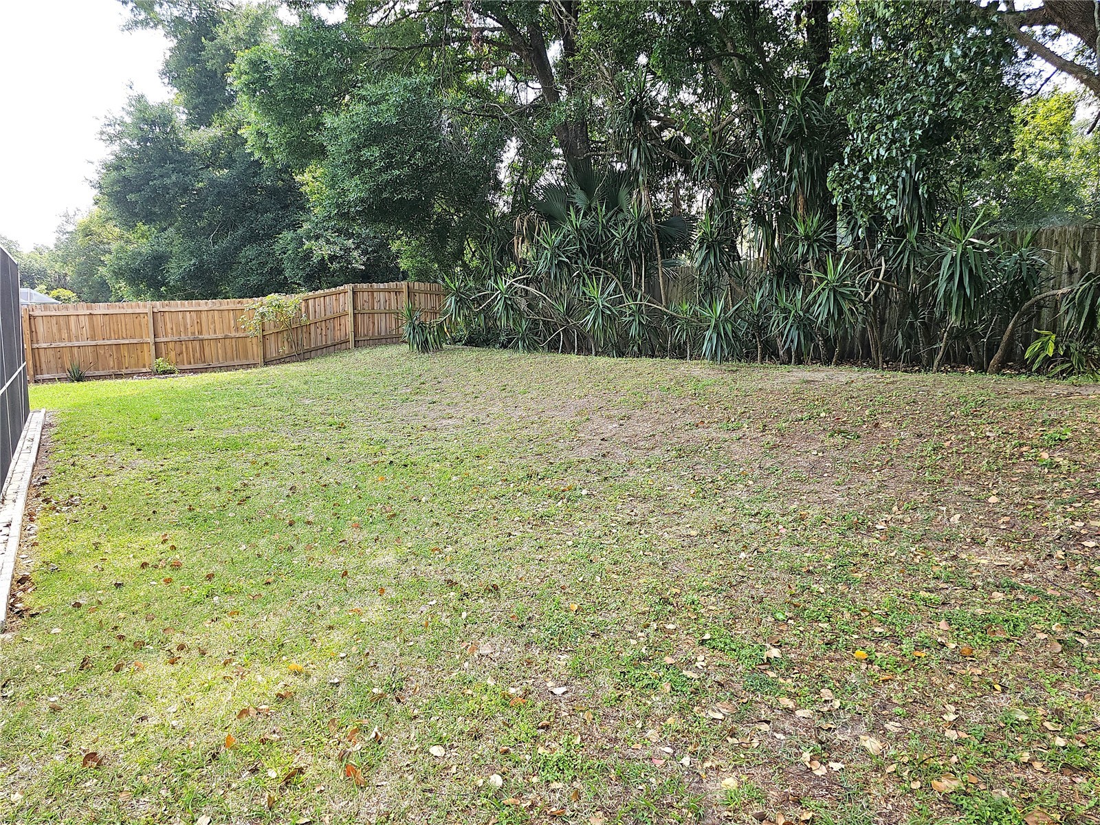 1613 Mosaic Forest Drive Seffner FL 33584 TB8500600 image42