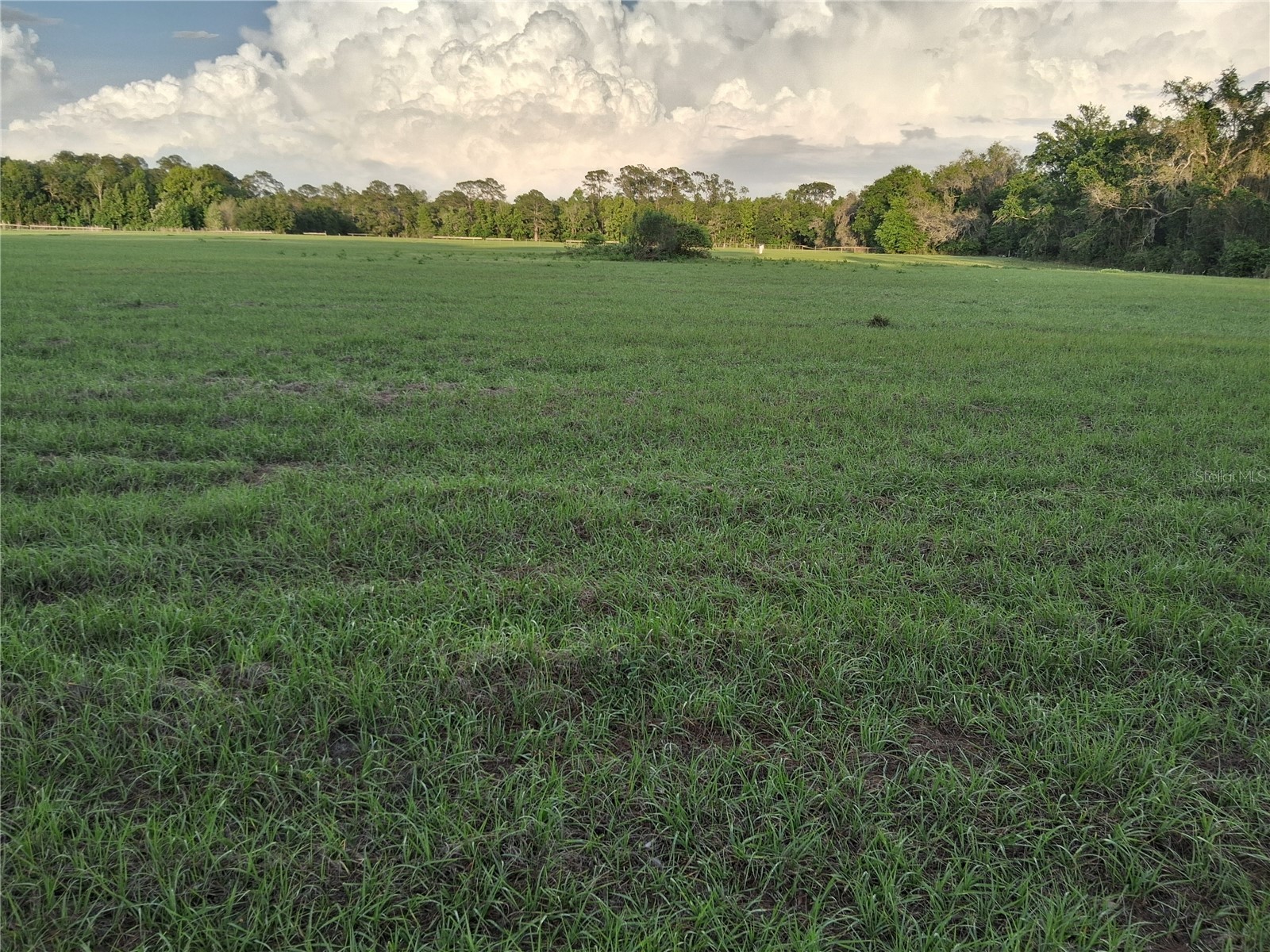 1613 NE 12th Avenue Sumterville FL 33585 G5110708 image1