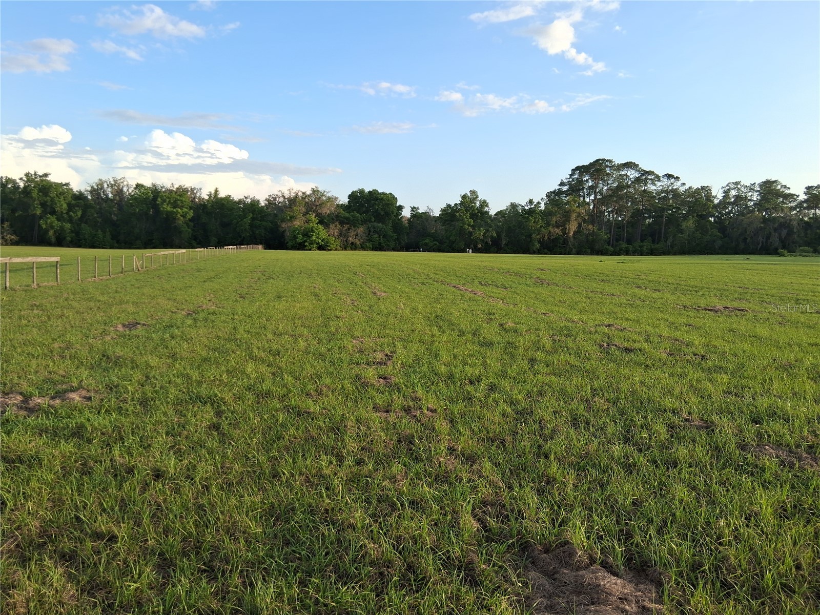 1613 NE 12th Avenue Sumterville FL 33585 G5110708 image10