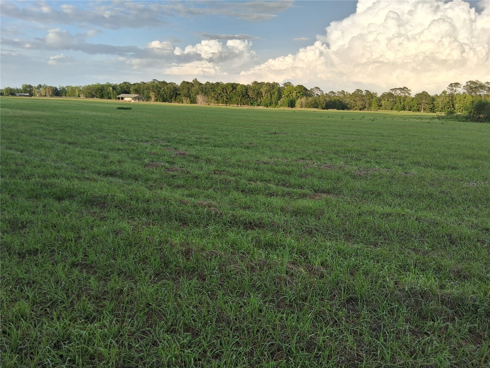 1613 NE 12th Avenue Sumterville FL 33585 G5110708 image11