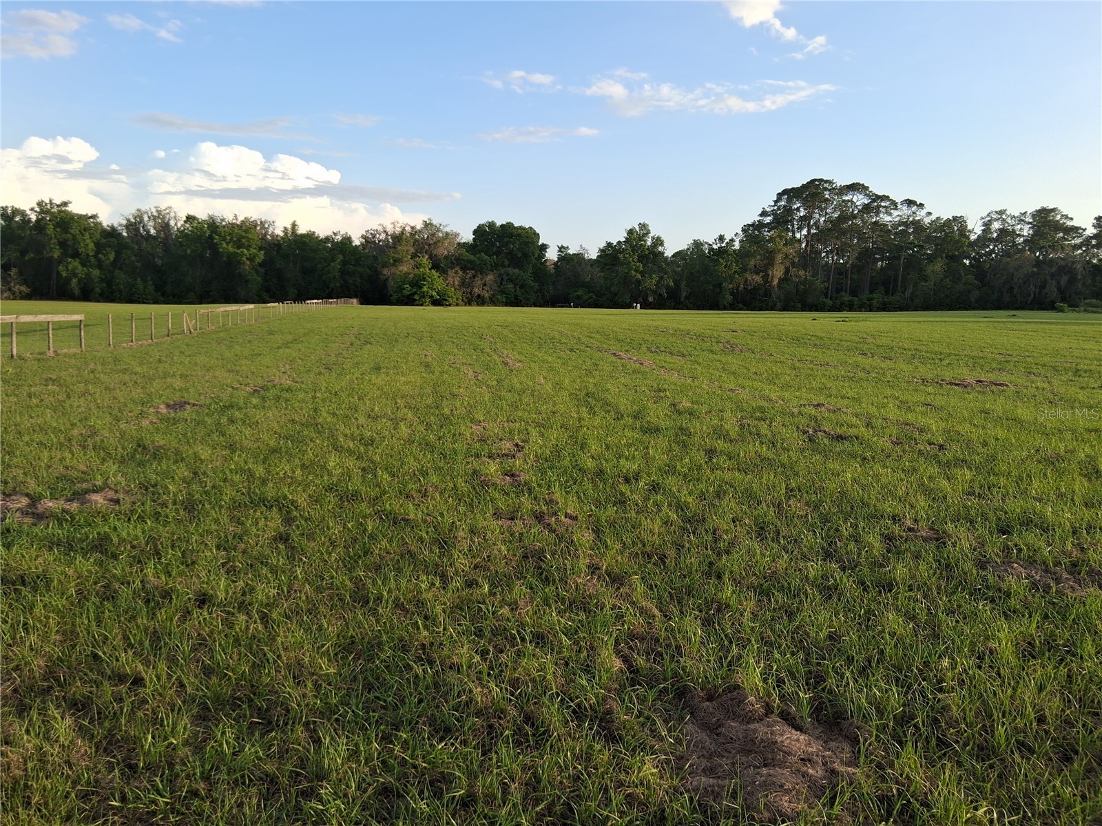 1613 NE 12th Avenue Sumterville FL 33585 G5110708 image13