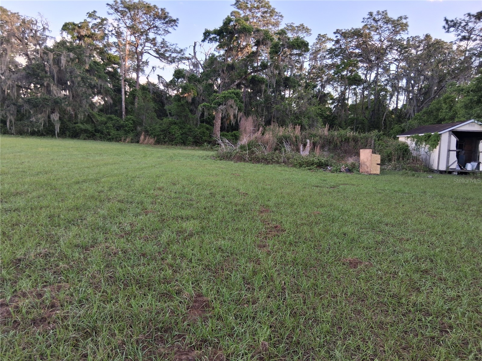 1613 NE 12th Avenue Sumterville FL 33585 G5110708 image14