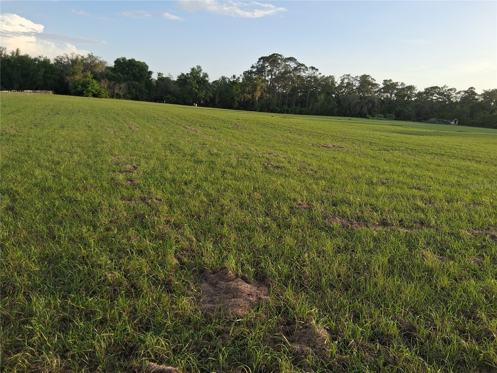 1613 NE 12th Avenue Sumterville FL 33585 G5110708 image15
